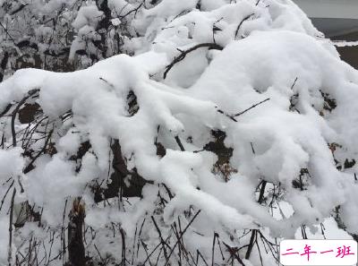 下雪天朋友圈唯美说说配图 下雪了说说简短一句话3