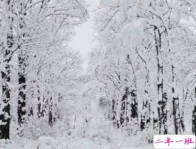 下雪天朋友圈唯美说说配图 下雪了说说简短一句话9