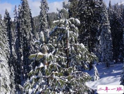 下雪天朋友圈唯美说说配图 下雪了说说简短一句话10