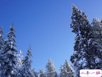 下雪天朋友圈唯美说说配图 下雪了说说简短一句话11