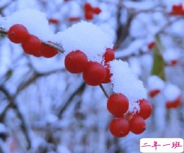 适合初雪发的文案文艺范 初雪的唯美说说发朋友圈1